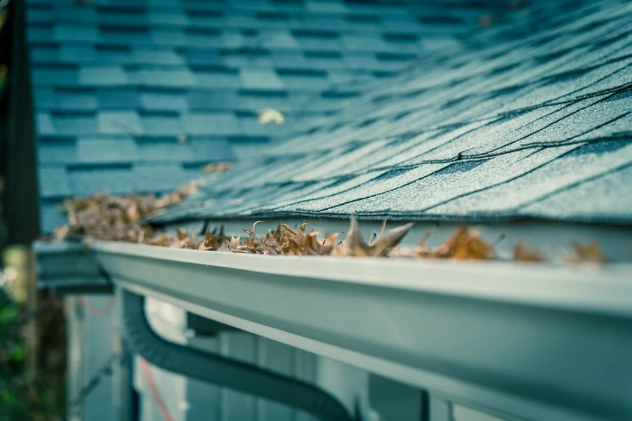 Safety Concerns With Diy Gutter Cleaning in Orlando, FL