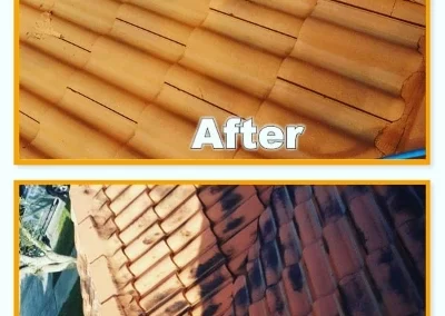 Trusted pressure washing services